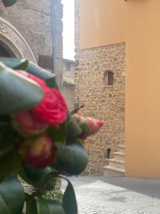 Ferienwohnung Il Nido Dell'Arte Anagni Exterior foto